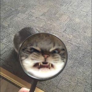 Meet your Posher, Gabriella